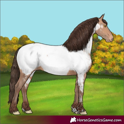 Horse Color:Amber Champagne Near Fewspot 