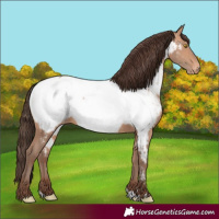 Horse Color:Amber Champagne Near Fewspot 