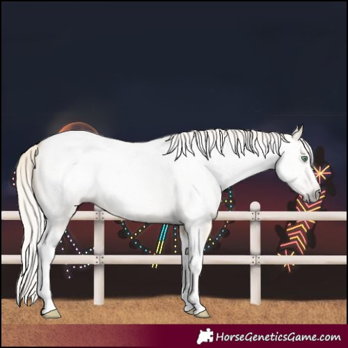 Horse Color:Gray Silver Amber Cream Champagne Roan Dun Splash Tobiano Frame Varnish Rabicano 