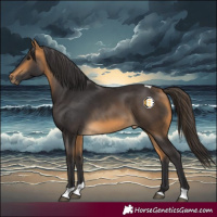 Horse Color:Buckskin Tobiano