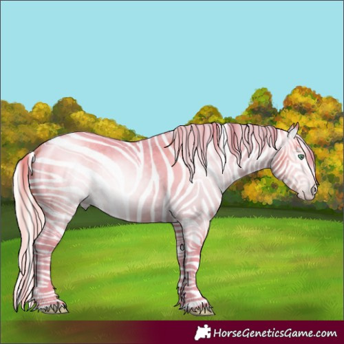 Horse Color:Gray Silver Amber Cream Champagne Roan Dun Splash Tobiano Frame Appaloosa Rabicano 