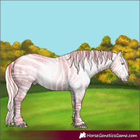 Horse Color:Gray Silver Amber Cream Champagne Roan Dun Splash Tobiano Frame Appaloosa Rabicano 