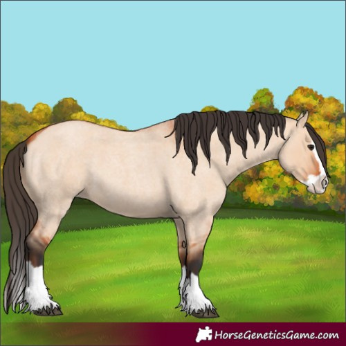Horse Color:Bay Roan Dun Splash 