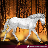 Horse Color:Gray Silver Amber Cream Champagne Roan Dun Splash Tobiano Frame Blanket Rabicano 