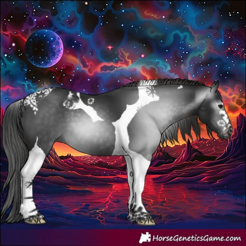 Horse Color:Gray Black Tobiano 