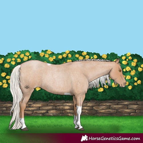 Horse Color:Silver Blue Roan Pearl Tobiano Frame 