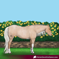 Horse Color:Silver Blue Roan Pearl Tobiano Frame