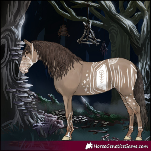 Horse Color:Classic Champagne 