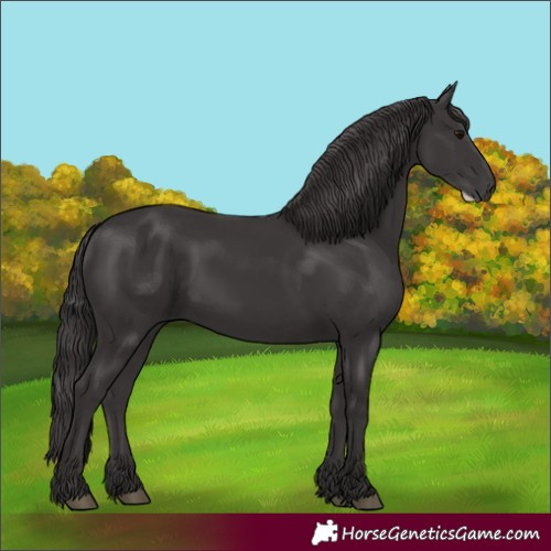Horse Color:Smoky Black Frame