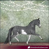 Horse Color:White Spotted Black Sabino Frame