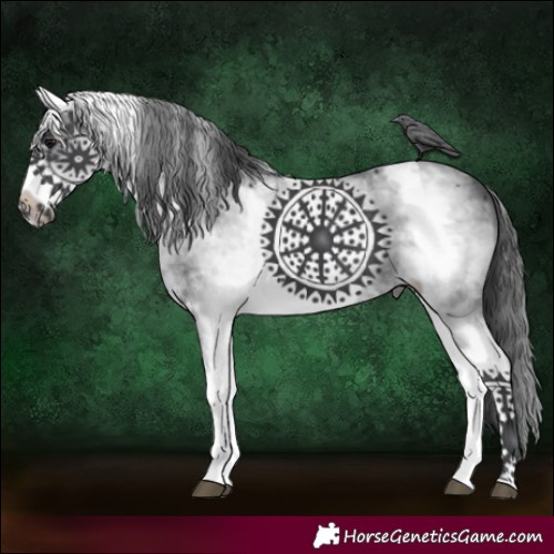 Horse Color:White Spotted Black Sabino Frame 