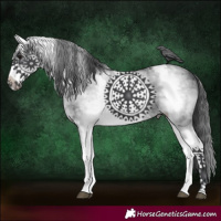 Horse Color:White Spotted Black Sabino Frame 
