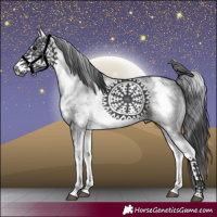 Horse Color:White Spotted Black Sabino Frame