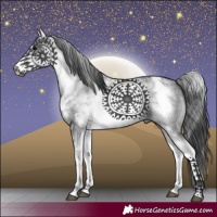 Horse Color:White Spotted Black Sabino Frame