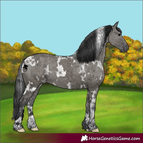 Horse Color:White Spotted Grullo 