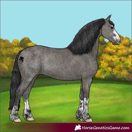 Horse Color:Grullo 