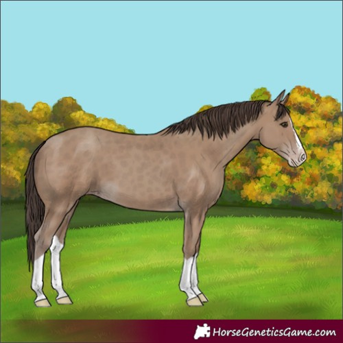 Horse Color:Classic Champagne Splash 
