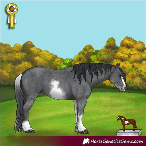 Horse Color:White Spotted Black Sabino Frame 