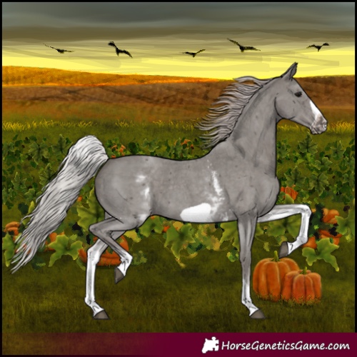Horse Color:White Spotted Silver Black Sabino Frame 