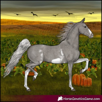 Horse Color:White Spotted Silver Black Sabino Frame 