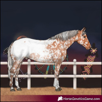 Horse Color:Silver Bay Tobiano Snowcap 