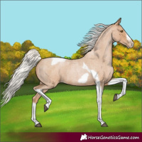 Horse Color:Silver Blue Roan Pearl Tobiano Frame 