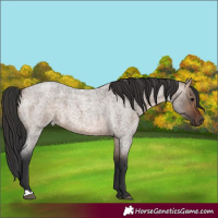 Horse Color:Brown Roan Dun 