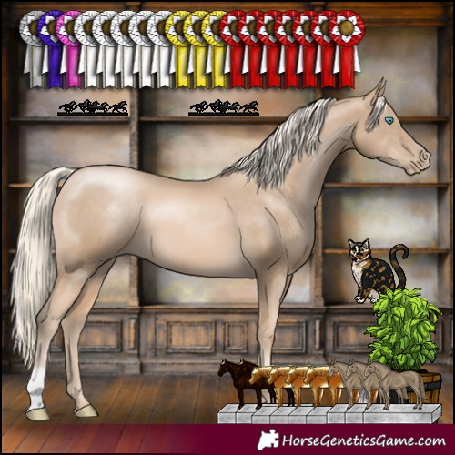Horse Color:Chocolate Palomino Pearl 
