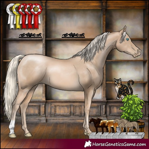 Horse Color:Chocolate Palomino Pearl 