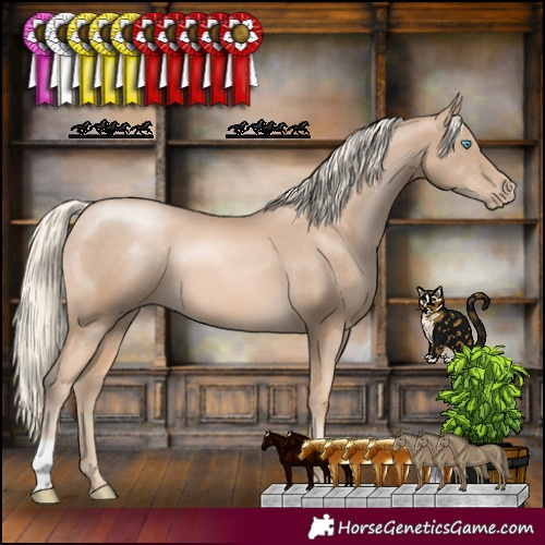 Horse Color:Chocolate Palomino Pearl 