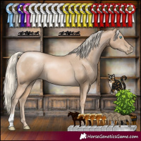 Horse Color:Chocolate Palomino Pearl 