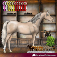 Horse Color:Chocolate Palomino Pearl 