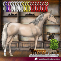 Horse Color:Chocolate Palomino Pearl 