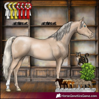 Horse Color:Chocolate Palomino Pearl 