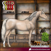 Horse Color:Chocolate Palomino Pearl 
