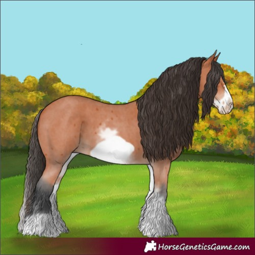 Horse Color:White Spotted Bay Sabino Frame