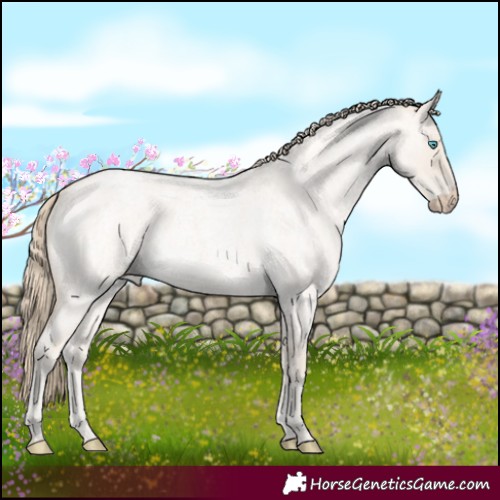 Horse Color:Smoky Creme Roan Dun