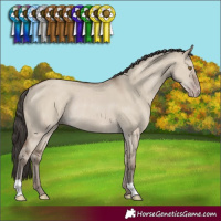 Horse Color:Classic Champagne Dun Rabicano