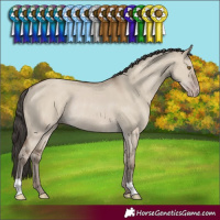Horse Color:Classic Champagne Dun Rabicano 