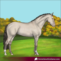 Horse Color:Classic Champagne Dun Rabicano 