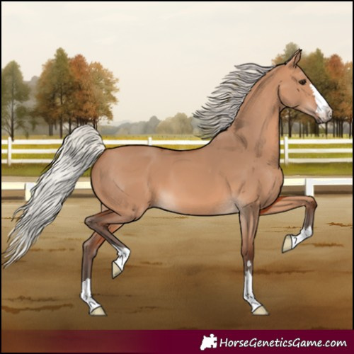 Horse Color:Silver Bay Dun
