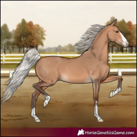 Horse Color:Silver Bay Dun 