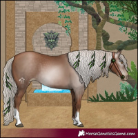 Horse Color:Gray Silver Black Pearl Tobiano