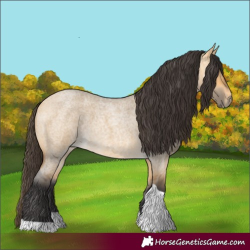 Horse Color:Buckskin Roan Dun Tobiano 