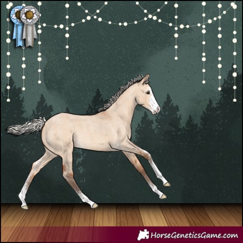 Horse Color:Silver Bay Roan Dun Sabino 