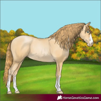Horse Color:Smoky Black Pearl 
