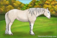 Horse Color:Palomino Roan Pearl  and Palomino Roan Pearl Splash 