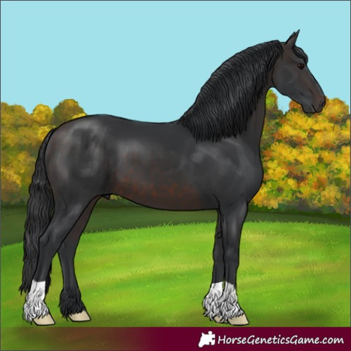 Horse Color:Brown 