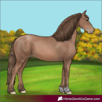 Horse Color:Black Pearl
