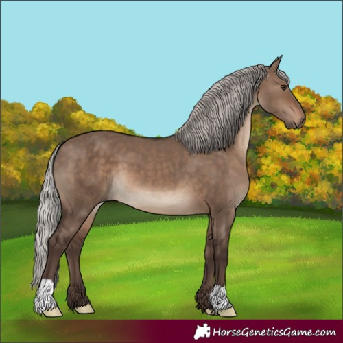 Horse Color:Silver Brown Dun